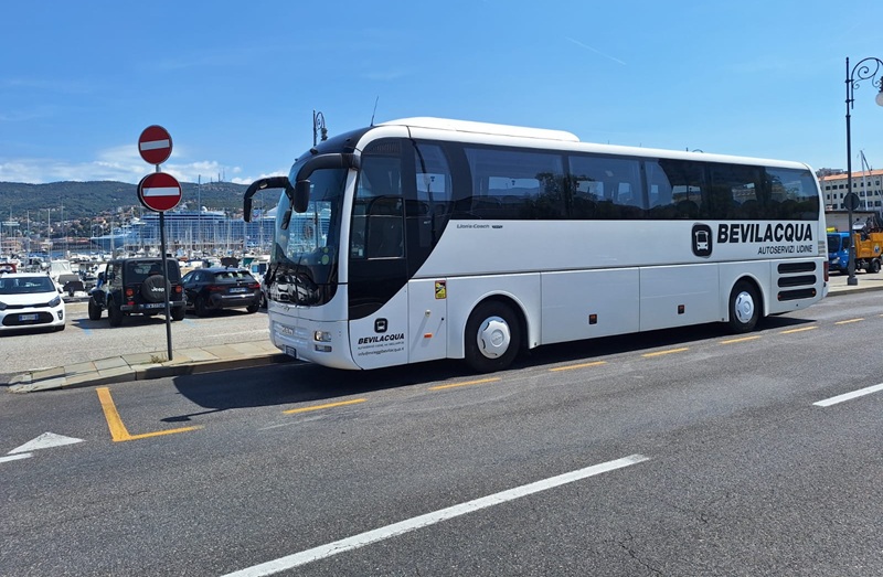transfer bus trieste consulenza